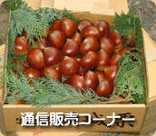 通信販売